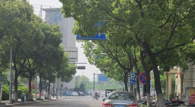 西安交通設(shè)施被遮擋 西安交通設(shè)施被遮擋