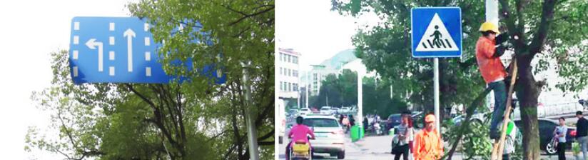 西安交通設(shè)施被遮擋 西安交通設(shè)施被遮擋